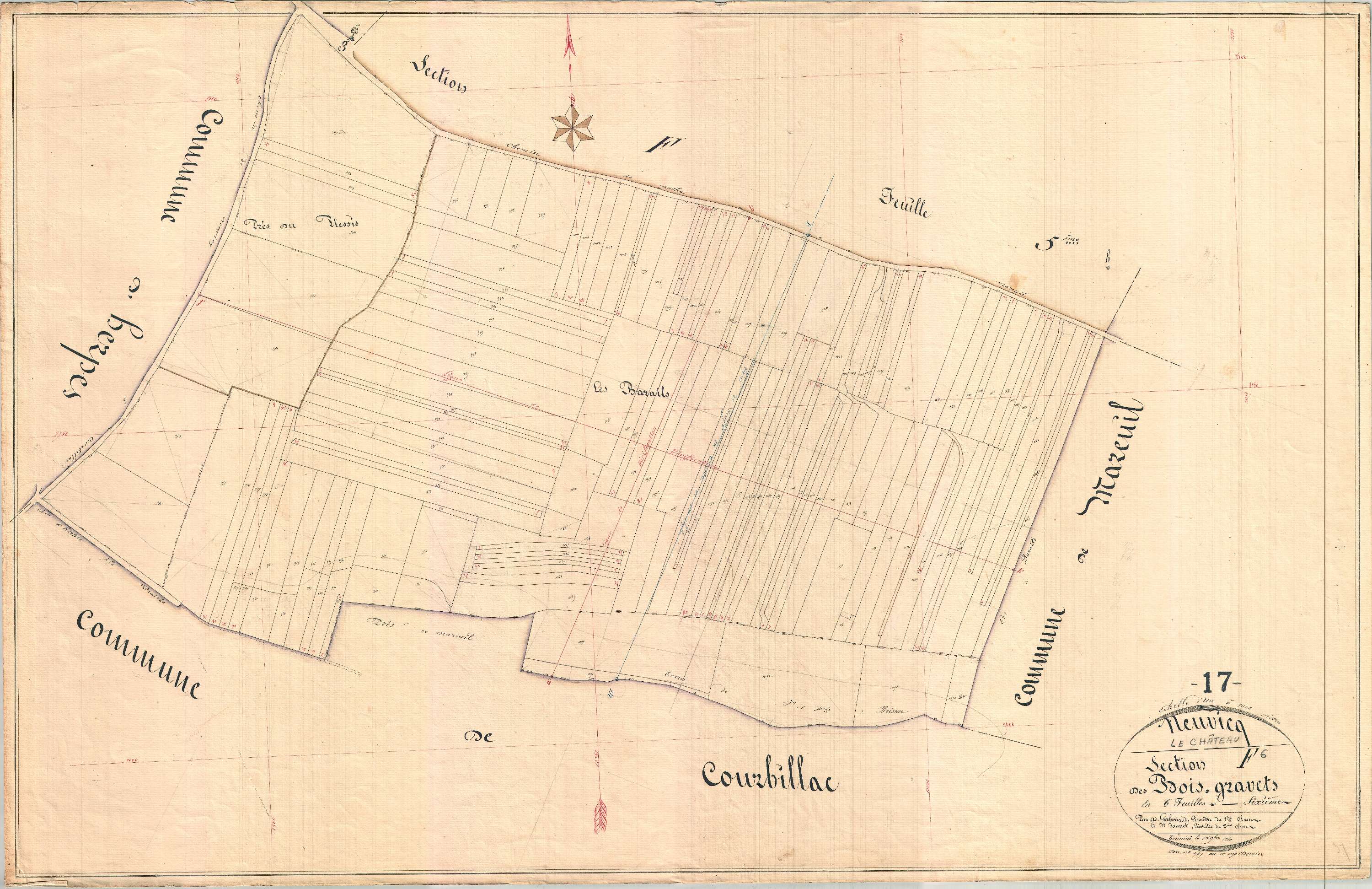 Neuvicq-le-Château - Section F6 dite des Bois Gravets.