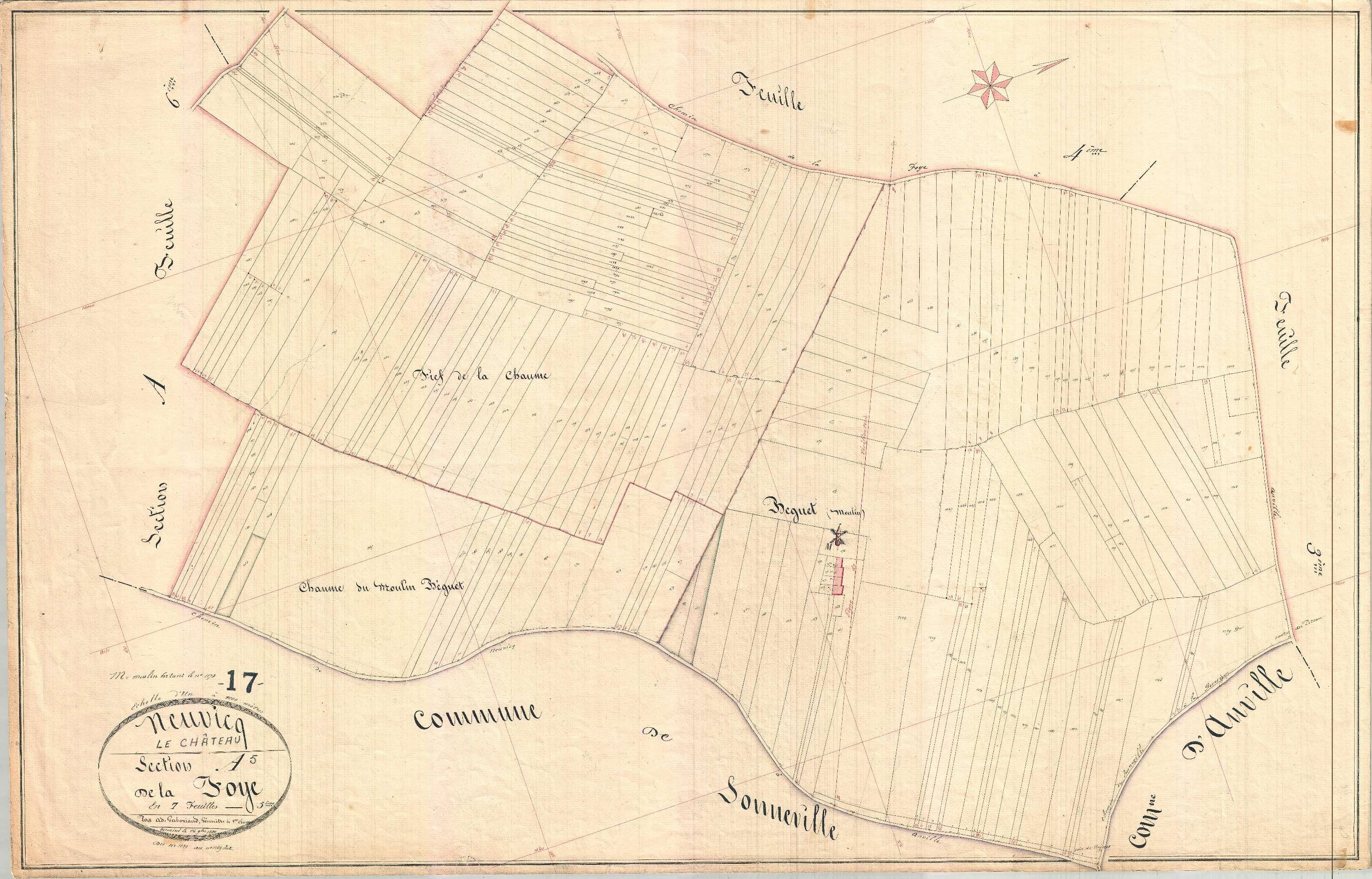 Neuvicq-le-Château - Section A5 dite de la Foye.