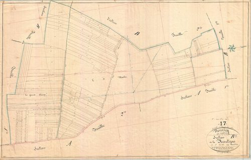 Neuvicq-le-Château - Section B3 dite de la Revetizon.