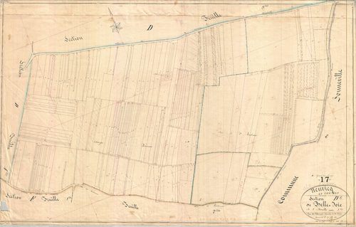 Neuvicq-le-Château - Section D5 dite de Belle Joie.