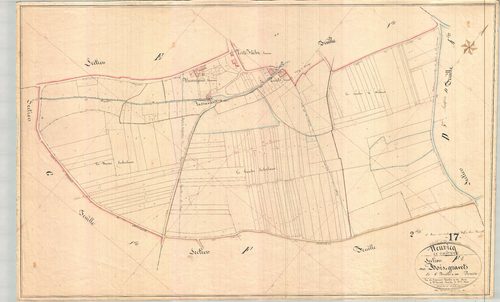 Neuvicq-le-Château - Section F1 dite des Bois Gravets.