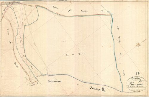 Neuvicq-le-Château - Section F2 dite des Bois Gravets.