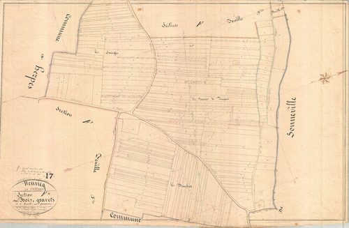 Neuvicq-le-Château - Section F4 dite des Bois Gravets.