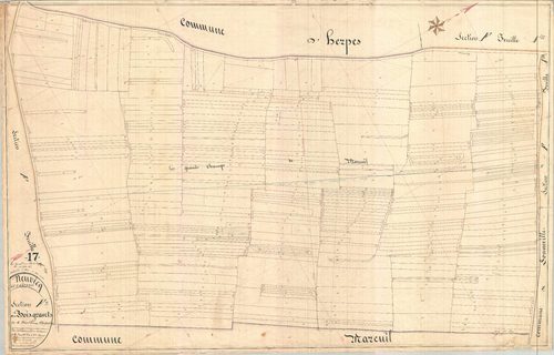 Neuvicq-le-Château - Section F5 dite des Bois Gravets.