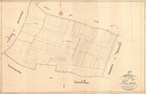 Neuvicq-le-Château - Section F6 dite des Bois Gravets.