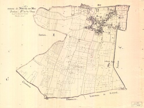 Nieul-sur-Mer - Section D dite du Bourg.