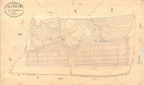 Nieulle-sur-Seudre - Section F1 dite de Longchamp.