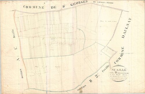 Nuaillé-sur-Boutonne - Section B1 dite du Grand Oulme.
