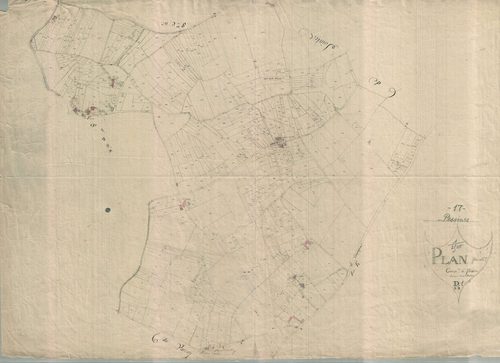 Pessines - Section D1. (sans nom). [document en mauvais état]
