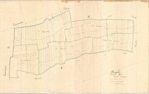Prignac - Section B5 dite des Moulins.