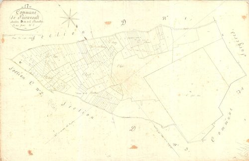 Puyravault - Section D2 dite de Bacellière.
