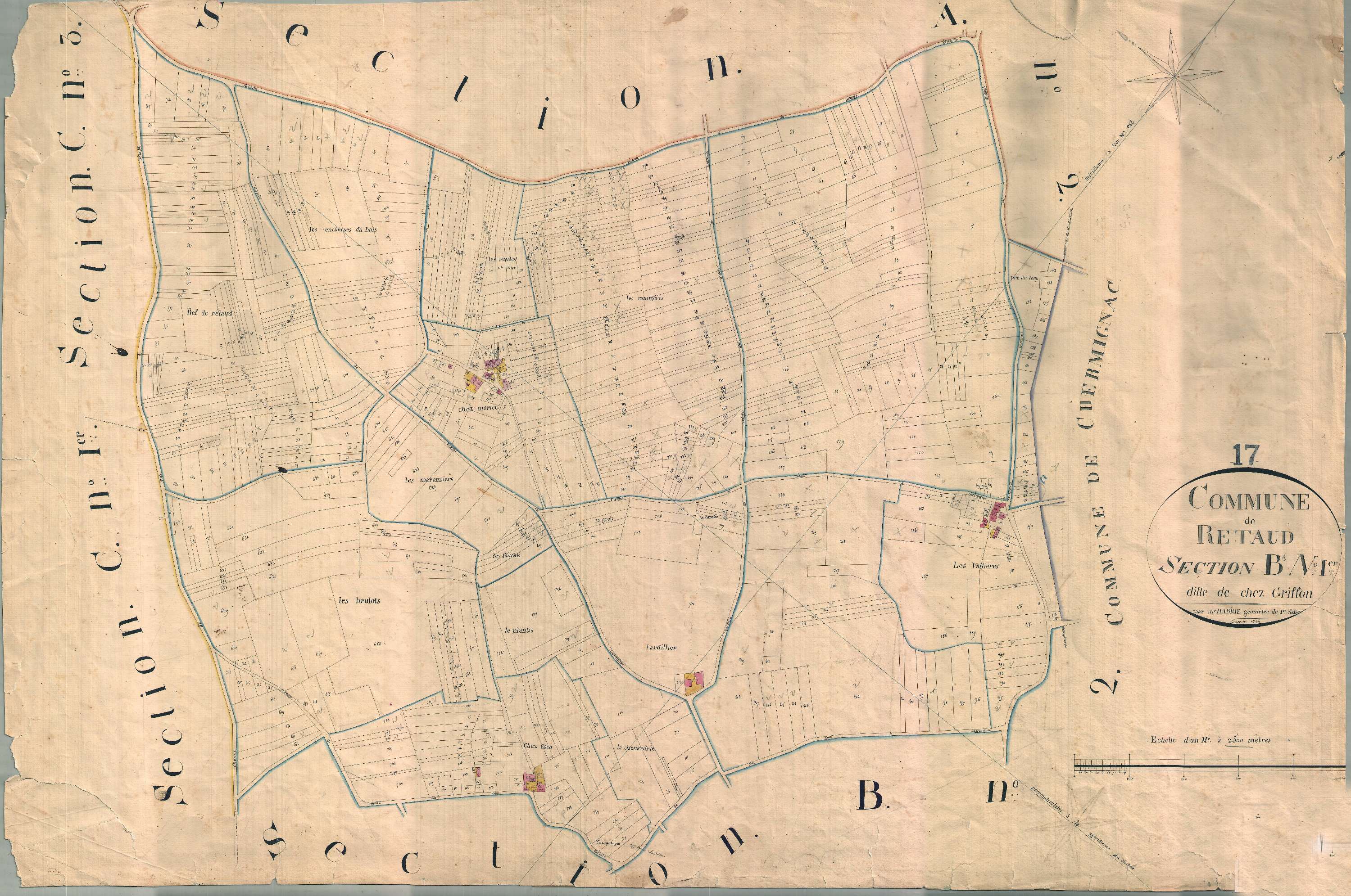 Rétaud - Section B1 dite des Griffons.