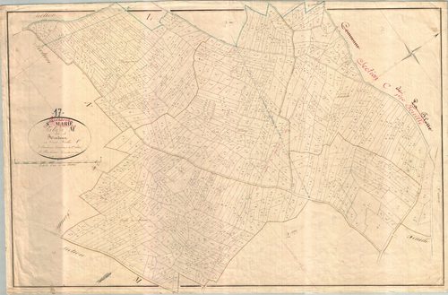 Rivedoux-Plage - Section M1 dite des Rives.