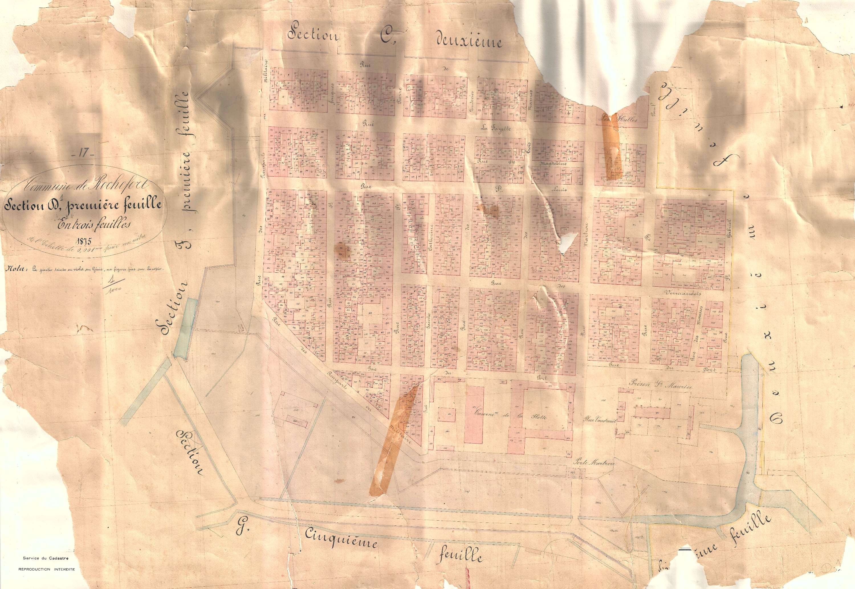 Rochefort - Section D1 (sans nom).