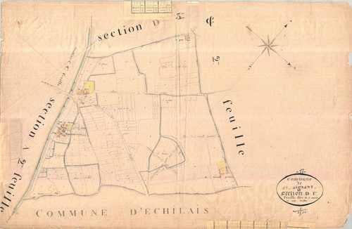 Saint-Agnant - Section D1 dite de Saint-Martin.