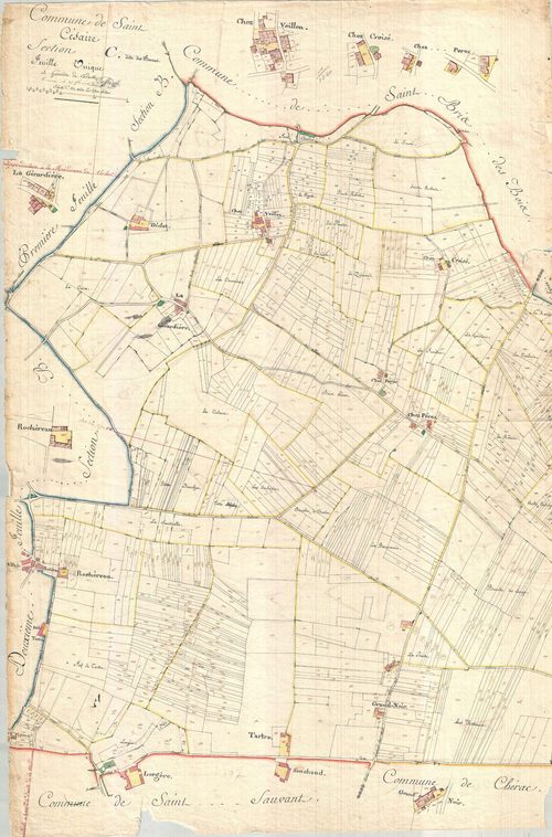 Saint-Césaire - Section C (dite des Bornes). [document en mauvais état]