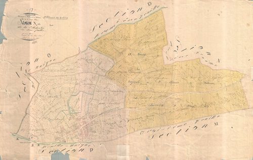 Saint-Clément-des-Baleines - Section N dite de la Tricherie. [document en très mauvais état]