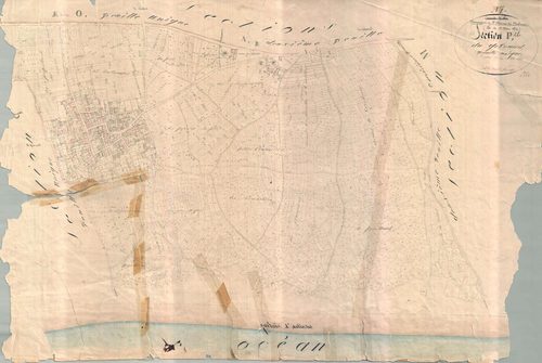 Saint-Clément-des-Baleines - Section P dite du Grivaud. [document en très mauvais état]
