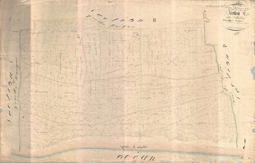 Saint-Clément-des-Baleines - Section Q dite du Chiron. [document en très mauvais état]