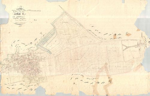 Saint-Clément-des-Baleines - Section R dite du Gillieux. [document en très mauvais état]