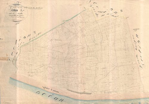 Saint-Clément-des-Baleines - Section S dite de la Salle. [document en très mauvais état]