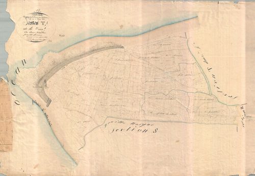 Saint-Clément-des-Baleines - Section T1 dite de la Tour. [document en très mauvais état]