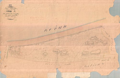 Saint-Clément-des-Baleines - Section A1 dite des Grandes Combes. [document en très mauvais état]