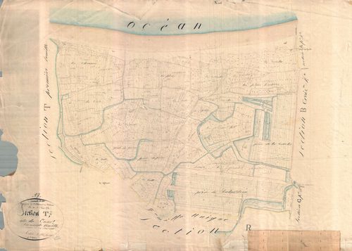 Saint-Clément-des-Baleines - Section T2 dite de la Tour. [document en très mauvais état]