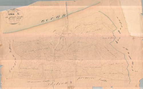 Saint-Clément-des-Baleines - Section A2 dite des Grandes Combes. [document en très mauvais état]