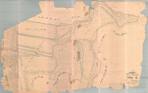Saint-Clément-des-Baleines - Section B1 dite des Jonchères. [document en très mauvais état]