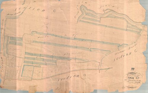 Saint-Clément-des-Baleines - Section C2 dite du Chenal du Milieu. [document en très mauvais état]