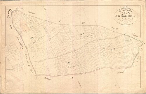 Saint-Félix - Section F1 dite de Beaumont.