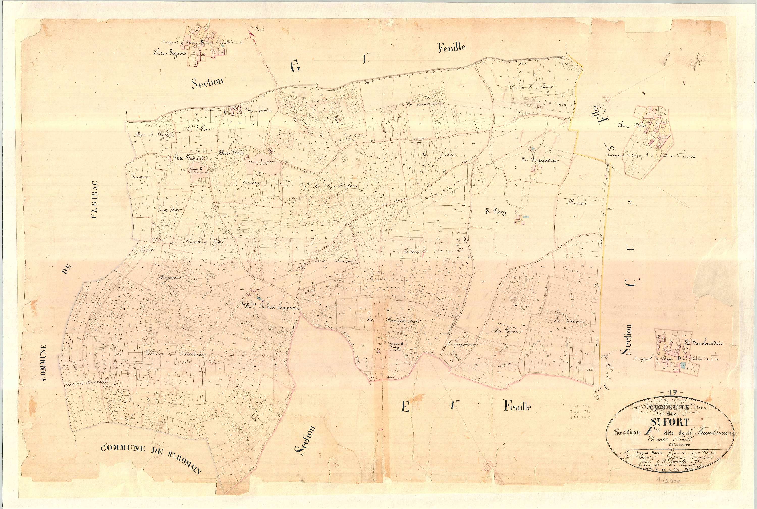 Saint-Fort-sur-Gironde - Section F dite de la Fauchardrie.