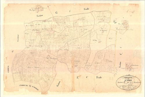 Saint-Fort-sur-Gironde - Section F dite de la Fauchardrie.