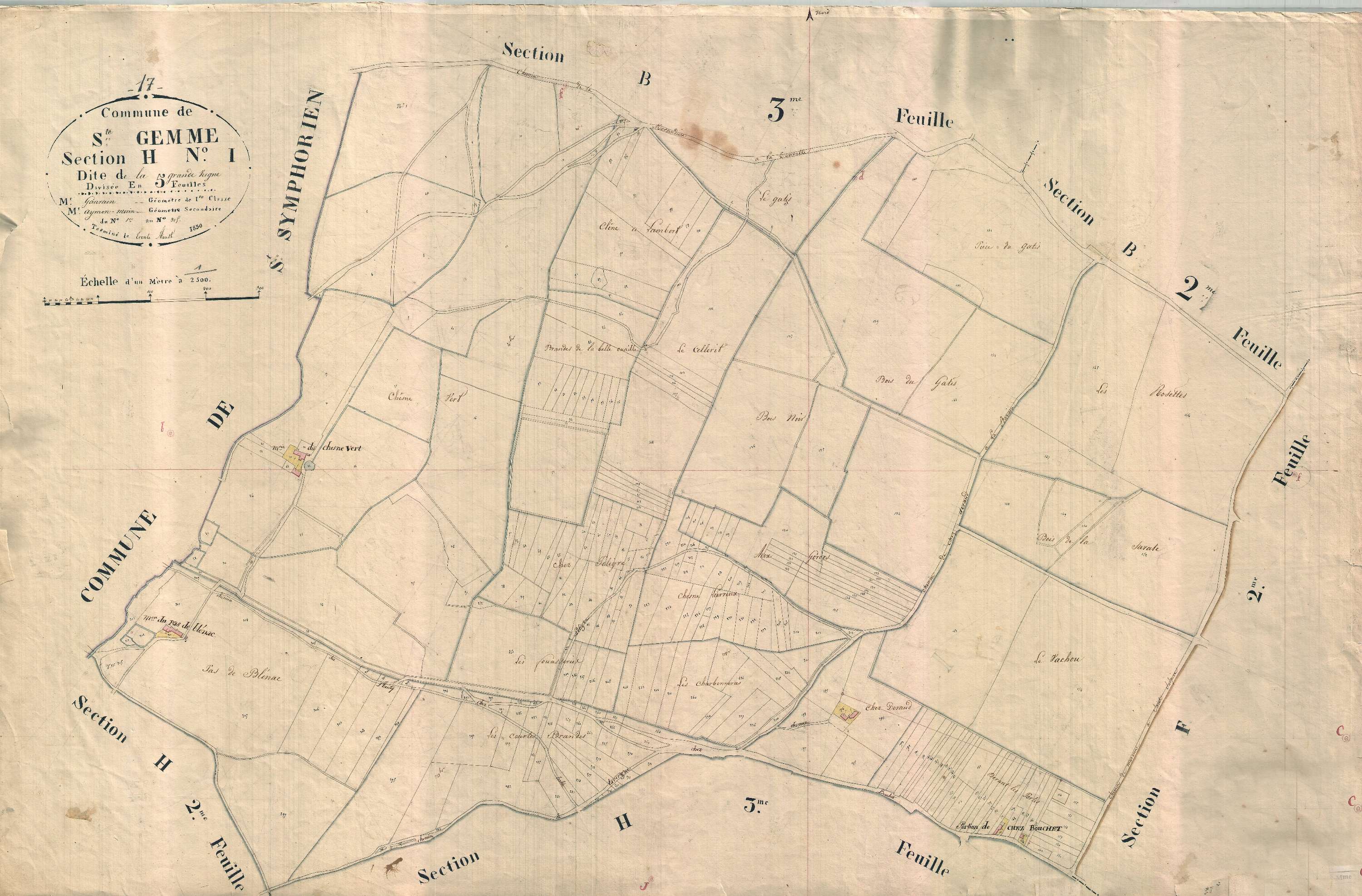 Sainte-Gemme - Section H1 dite de la Grande Vergne.