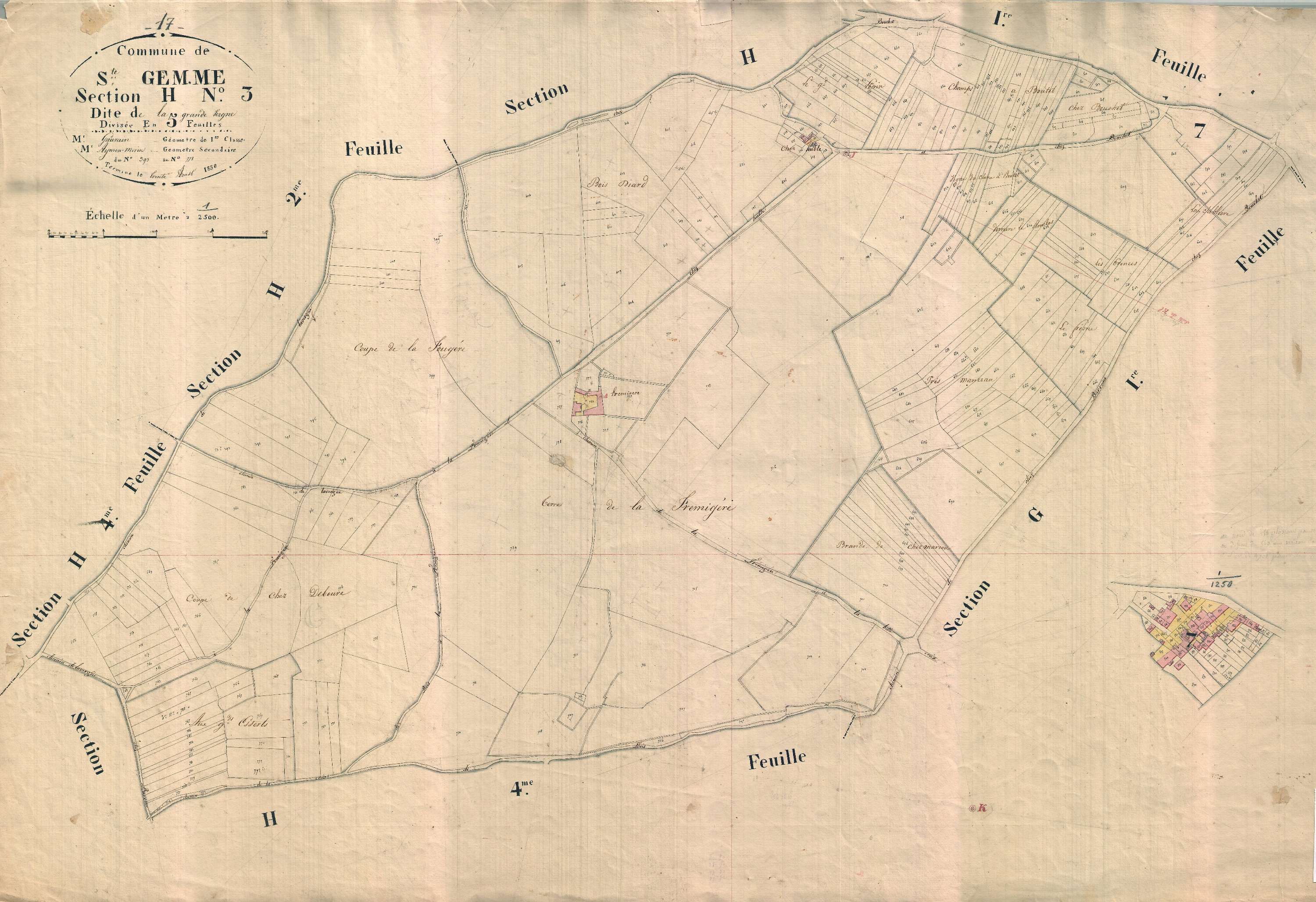 Sainte-Gemme - Section H3 dite de la Grande Vergne.