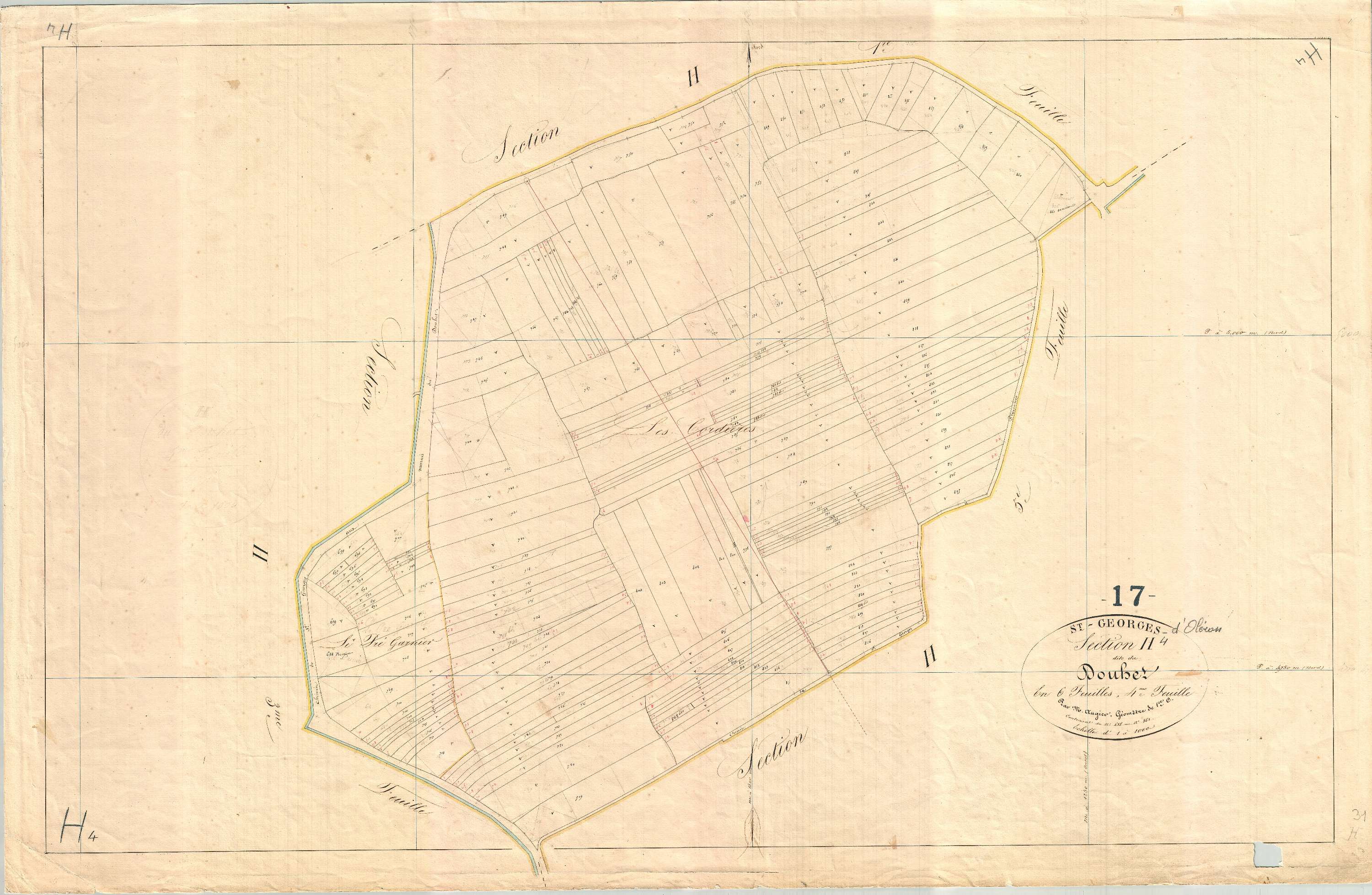 Saint-Georges-d'Oléron - Section H4 dite du Douhet.
