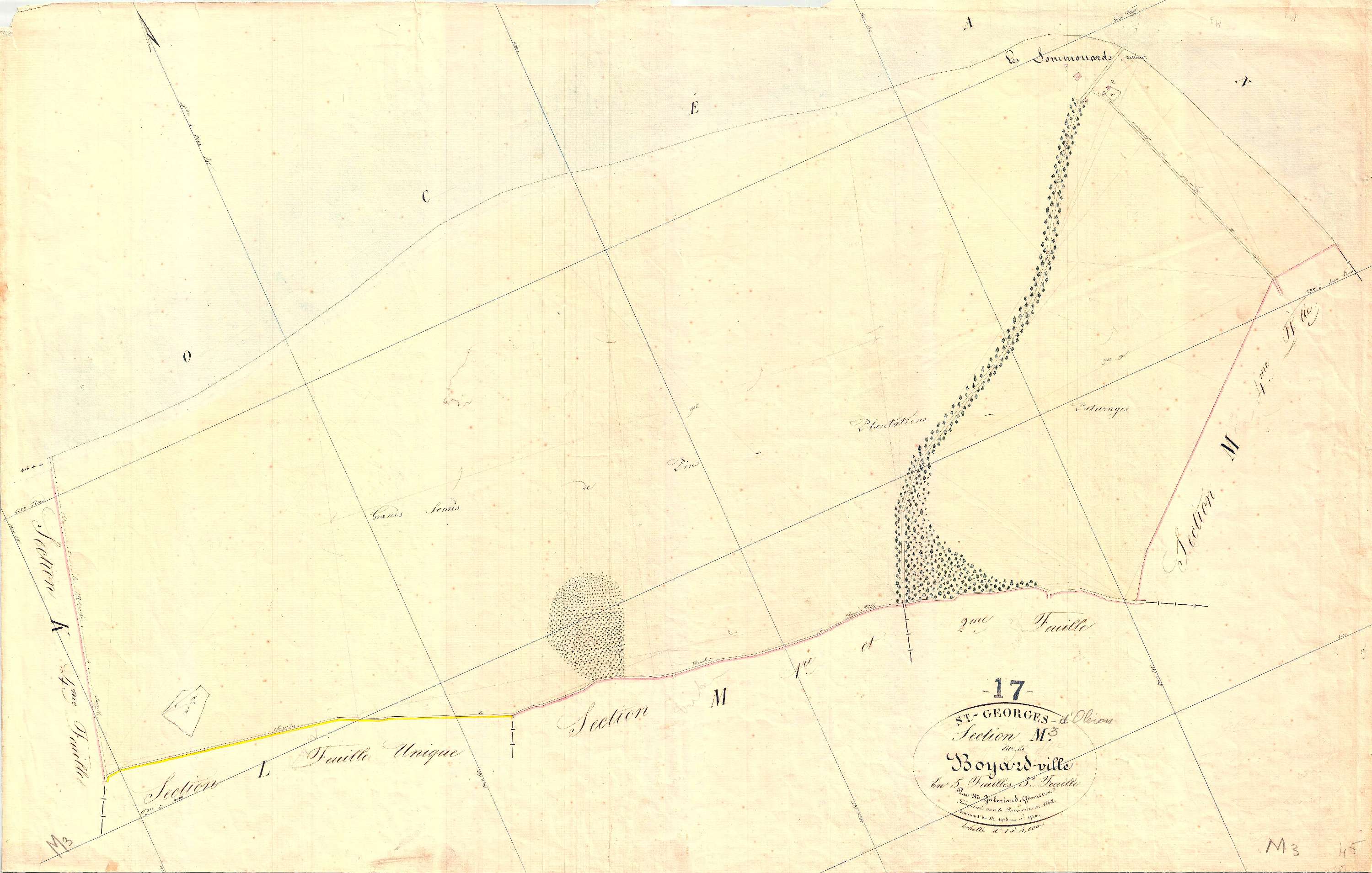 Saint-Georges-d'Oléron - Section M3 dite de Boyardville.