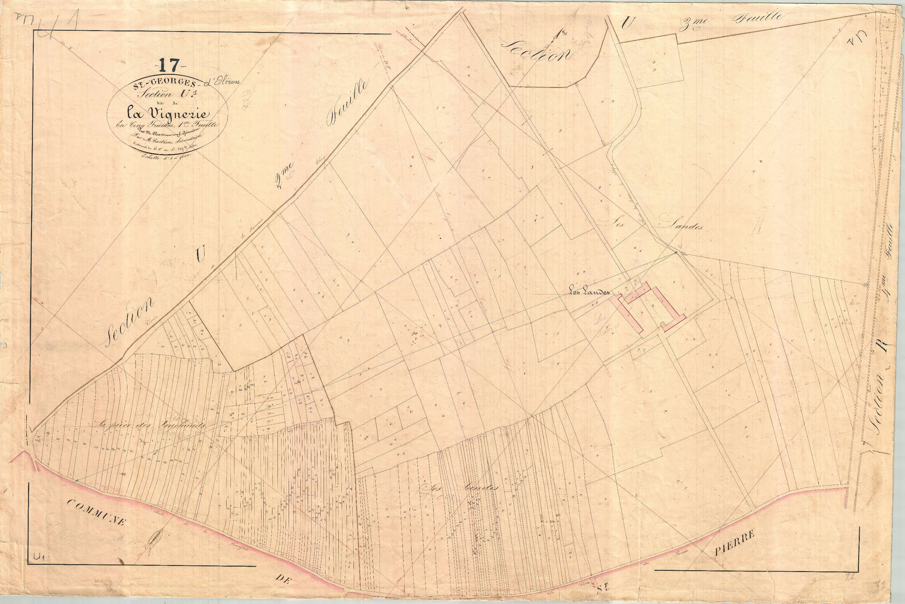 Saint-Georges-d'Oléron - Section U1 dite de la Vignerie.