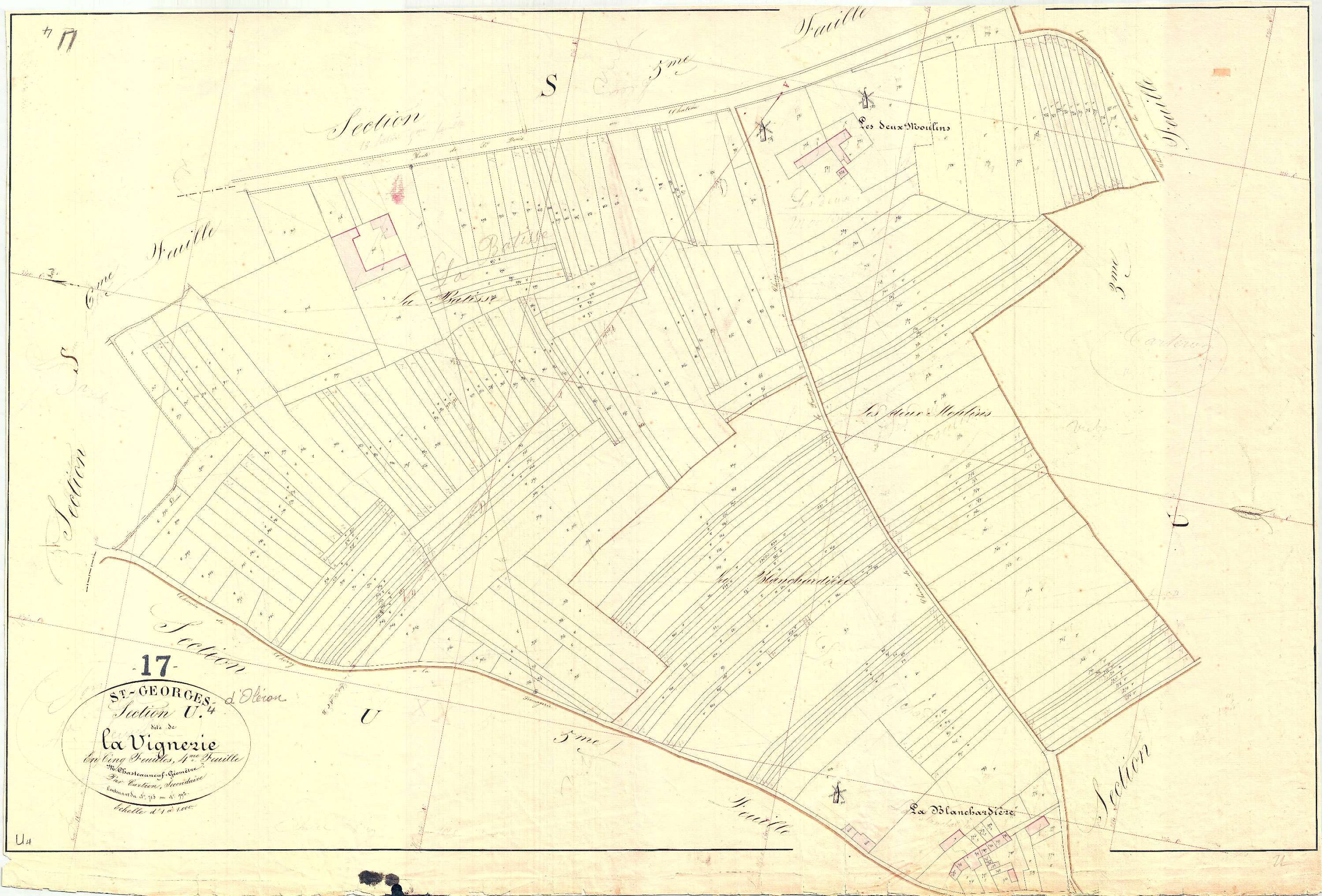 Saint-Georges-d'Oléron - Section U4 dite de la Vignerie.