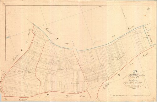 Saint-Georges-d'Oléron - Section R6 dite des Landes.