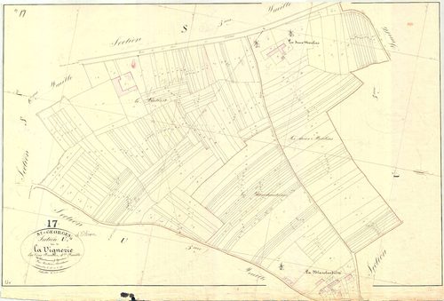 Saint-Georges-d'Oléron - Section U4 dite de la Vignerie.