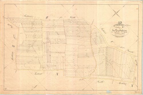 Saint-Georges-d'Oléron - Section X5 dite de la Pochelière.