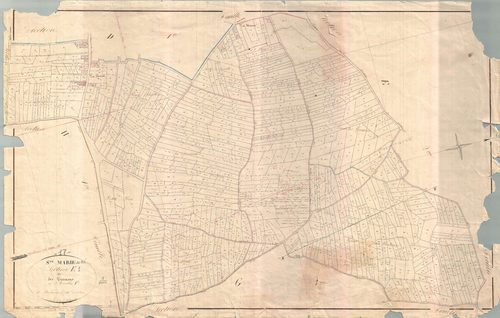 Sainte-Marie-de-Ré - Section E1 dite des Gruasses. [document en mauvais état]