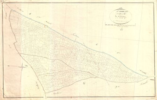 Sainte-Marie-de-Ré - Section G1 dite de la Ferlaudière.