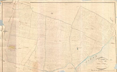 Sainte-Marie-de-Ré - Section H1 dite du Grand Village. [document en mauvais état]