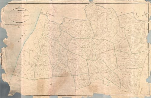 Sainte-Marie-de-Ré - Section B1 dite des Grands Champs de l'Hermitage. [document en mauvais état]