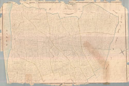 Sainte-Marie-de-Ré - Section C1 dite de Moutance. [document en mauvais état]