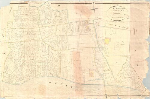 Sainte-Marie-de-Ré - Section C2 dite de Moutance. [document en mauvais état]