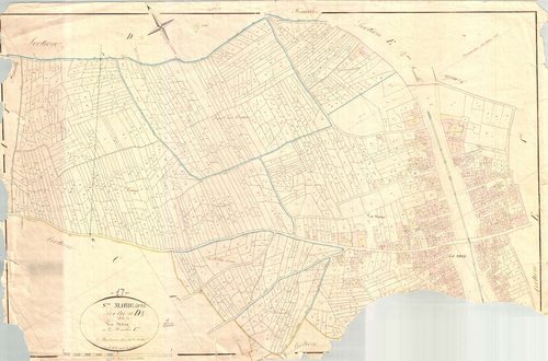 Sainte-Marie-de-Ré - Section D1 dite de la Noue. [document en mauvais état]